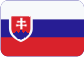 Kamineinlagen Slovensky